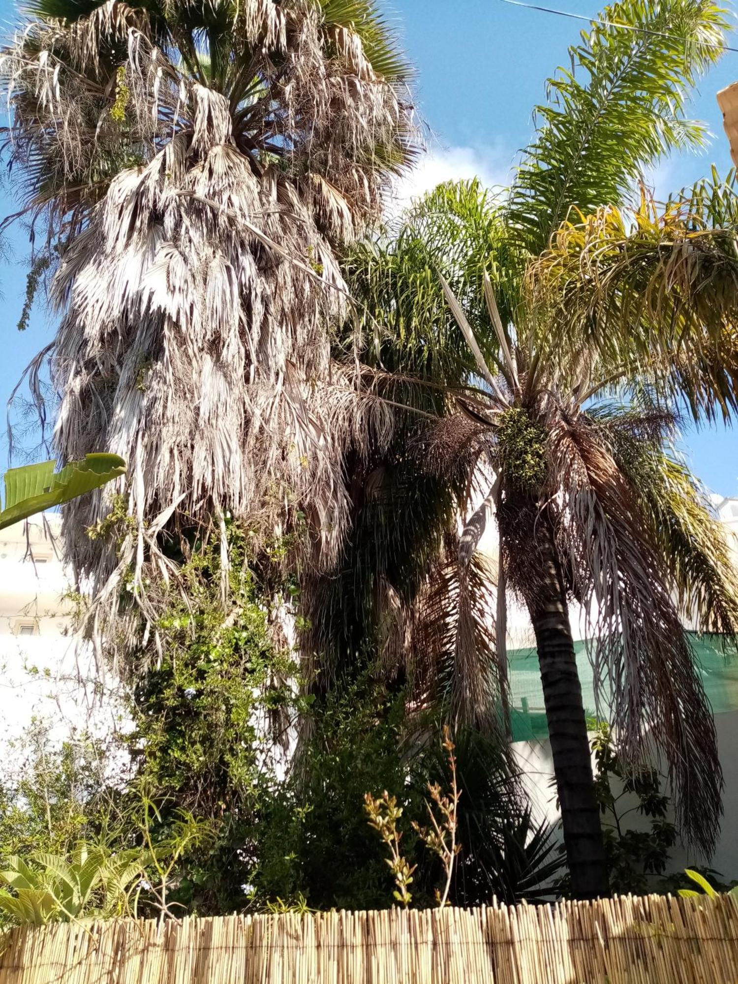Casa Rustica Villa Olhão Exteriör bild